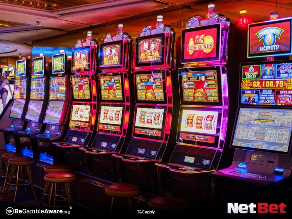 53a|Explore bingo online confiável Jogue Sem Risco
